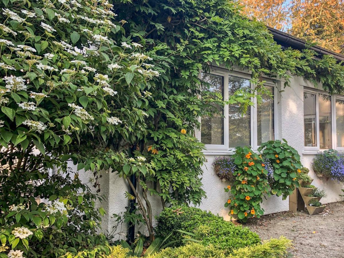 Primrose End Villa Bude Exterior foto