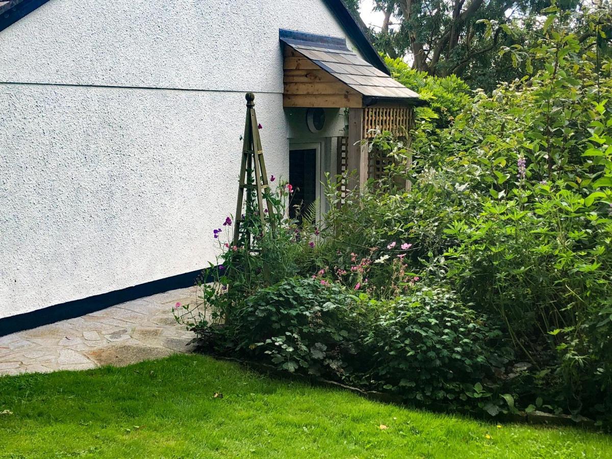 Primrose End Villa Bude Exterior foto