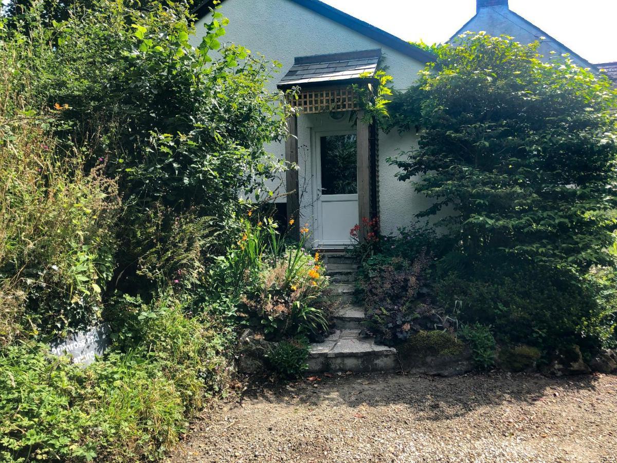 Primrose End Villa Bude Exterior foto
